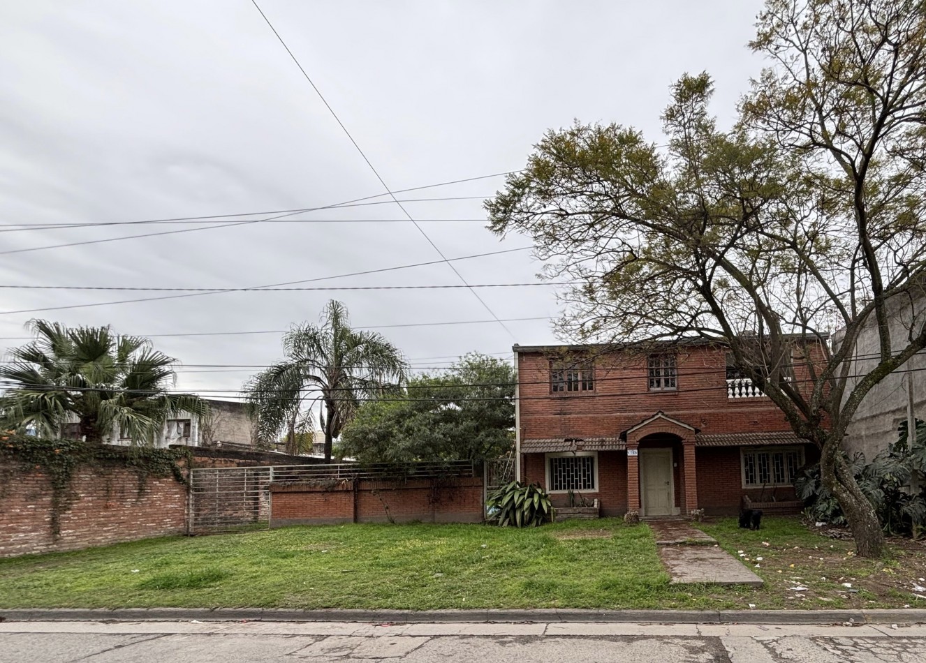 CARIOLA 1165, YERBA BUENA