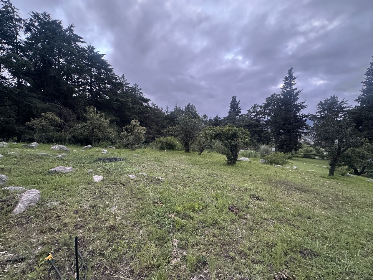 LA QUEBRADITA, TAFI DEL VALLE